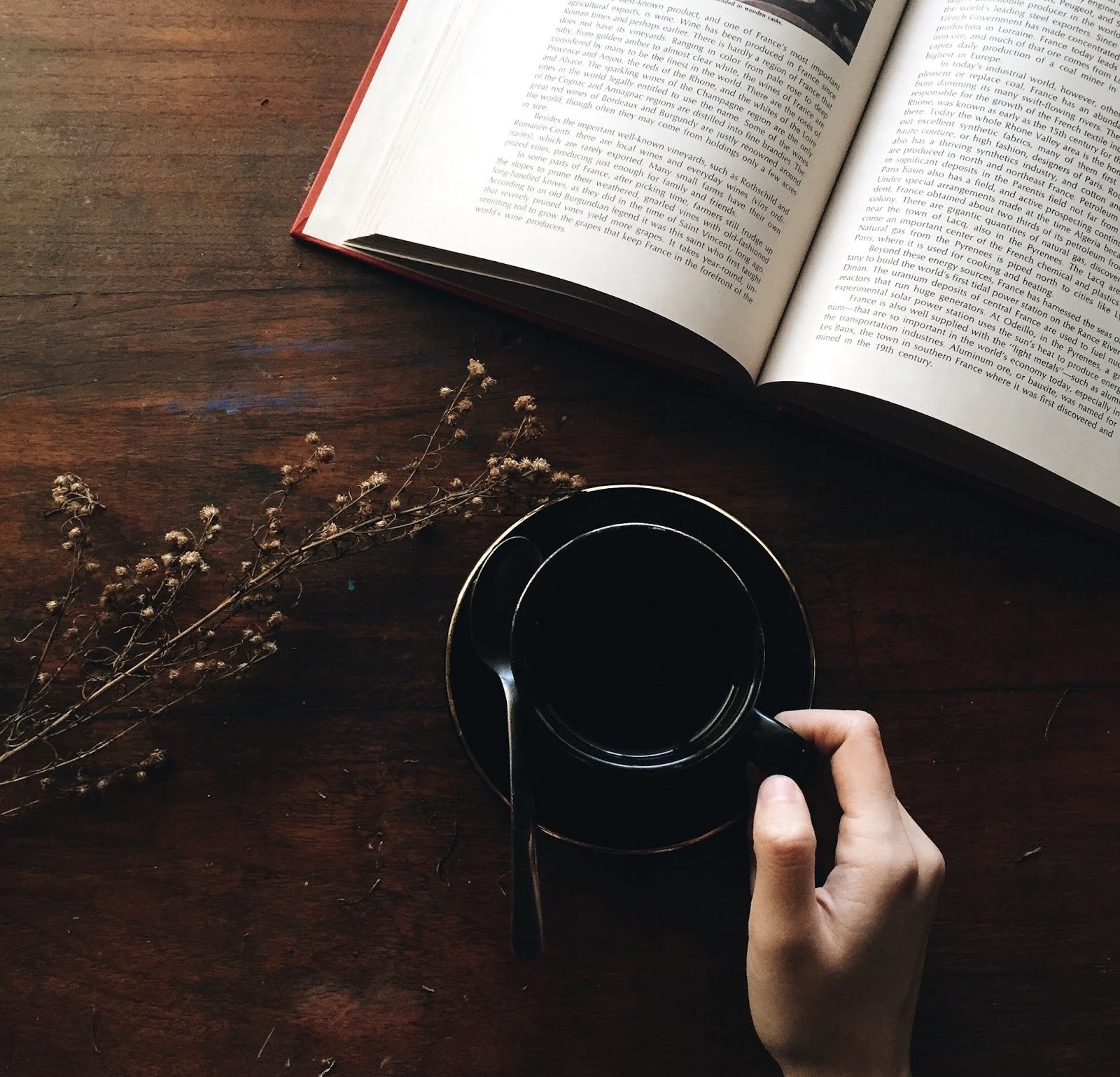 موقع مشاعر علي